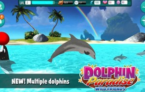 Dolphin Paradise: Wild Friends [Review]