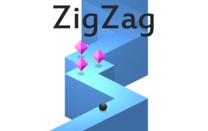 Zigged when I should have zagged-ZigZag [Video Review]