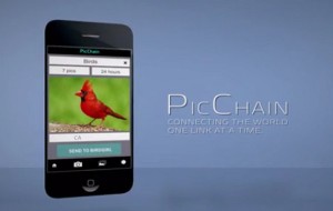 PicChain Social App [Kickstarter Project]