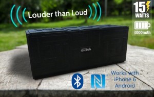Skiva AudioFLow BigSound S-1 [Product Review]