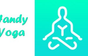 Learn Yoga with Handy Yoga [iOS App Review]