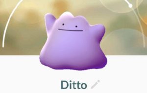 Hello to Ditto, the newest Pokemon