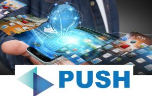 Push Cardz – Digital Business Cards